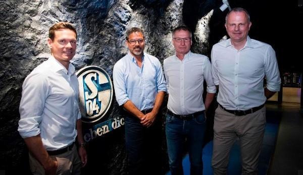 Bundesliga: Schalke and HSV: Magath sees parallels