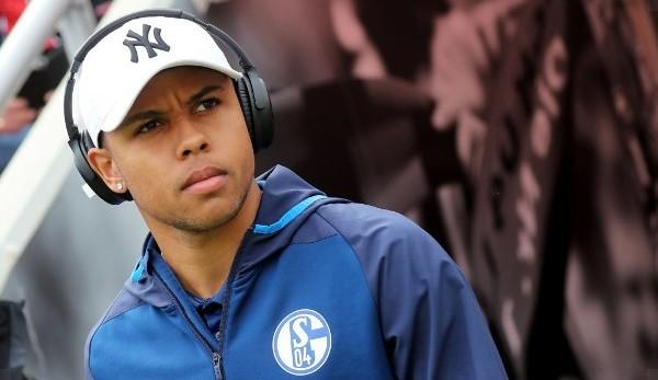 Bundesliga: Schalke: Wagner enthuses about McKennie